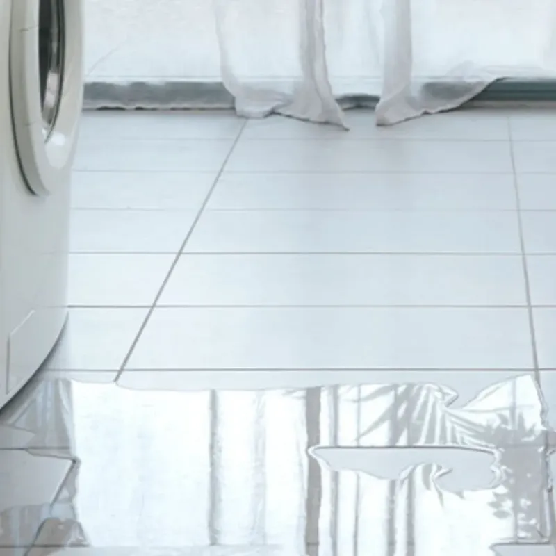 Appliance Leak Cleanup in Saco, ME