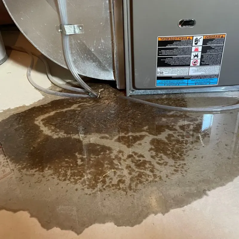 Pipe Burst and Leak Restoration in Saco, ME